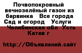 Почвопокровный, вечнозелёный газон из барвинка - Все города Сад и огород » Услуги   . Челябинская обл.,Усть-Катав г.